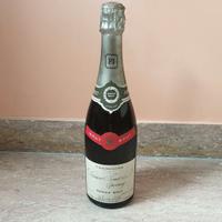 Champagne Grand Brut Epernay Perrier Jouet Vintage