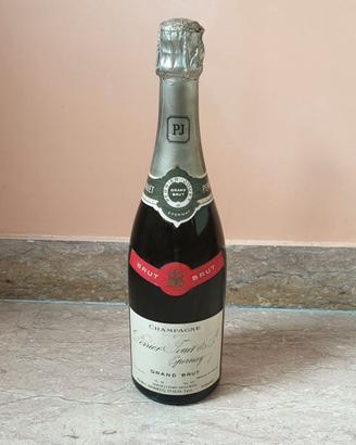 Vino Champagne Grand Brut Epernay Perrier Jouet