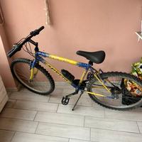 Mountain-bike
