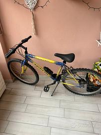 Mountain-bike