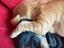 Immagine 1