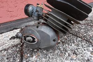 ruote motore malagitti 