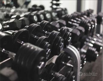 Attività di palestra ben avviata