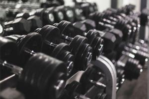 Attività di palestra ben avviata