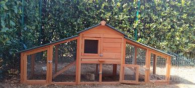 pollaio galline 