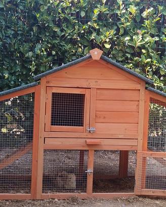 pollaio galline 