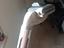 Immagine 5