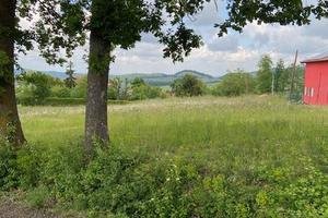Terreno di 2800 m² a Langhirano