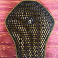 Paraschiena Forcefield