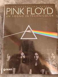 Pink Floyd un sogno in technicolor 