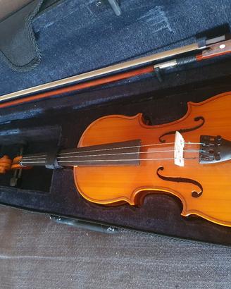 violino