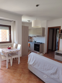 Nettuno S. Barbara bilocale + box e cantina