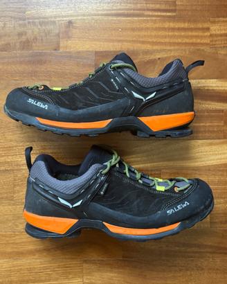 Salewa Mountain Trainer Goretex