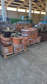 fioriere in terracotta fiorentino 
