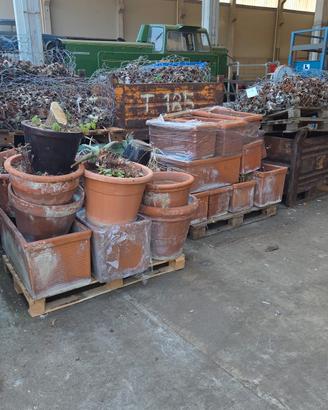 fioriere in terracotta fiorentino 