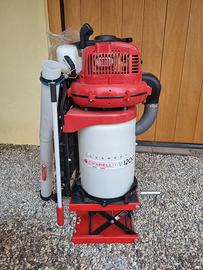 Aspira nocciole/castagne/noci Cifarelli V1200EEV