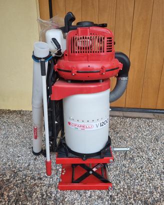 Aspira nocciole/castagne/noci Cifarelli V1200EEV
