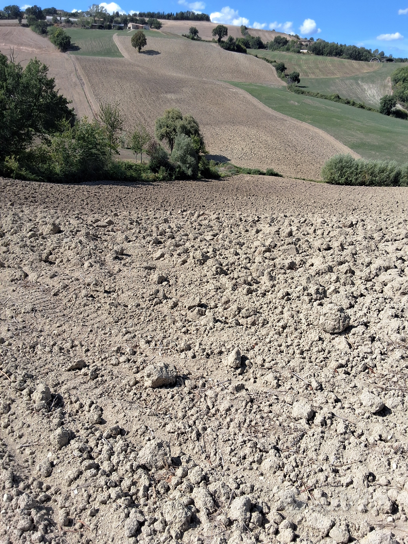 Appezzamento terreno agricolo - Vista 5