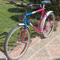 BICI MTB WHEELER 3500