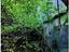 Immagine 28