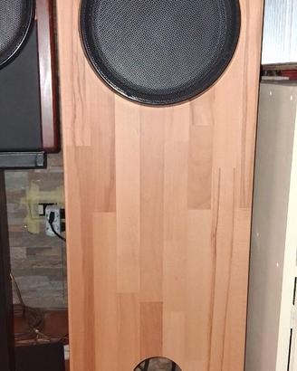 diffusori acustici coassiali ciare px250 infaggio