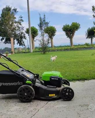 Tagliaerba a batteria - 48V/4Ah Greenworks GD48LM4