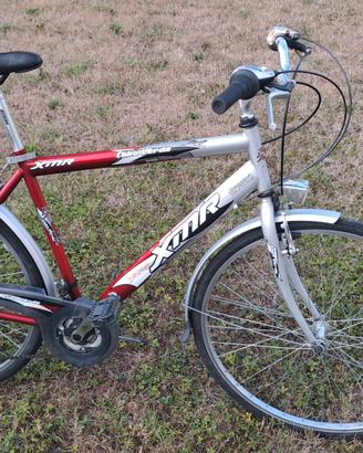 Bici da città e trekking adulto