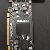 Scheda video Nvidia Quadro P620