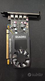 Scheda video Nvidia Quadro P620