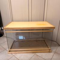 Teca grande per rettili (rettilinea)