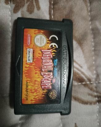 Gioco game boy Advance 