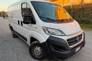 Fiat Ducato 2019