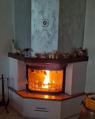 fuoco camino  a legna con vetro 