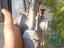 Immagine 2