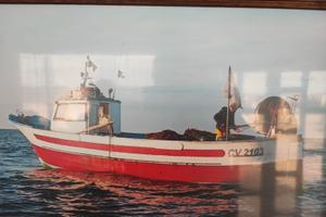 BARCA DA PESCA CV 2103