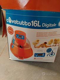 Incubatrice