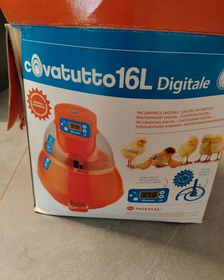 Incubatrice
