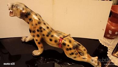 TIGRE ORIGINALE  GUALDO TADINO .CON FRECCIA '50 Ca