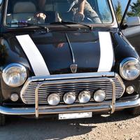 Fanaliera MINI Classic