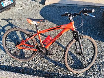 Bicicletta Casadei 24" bambino