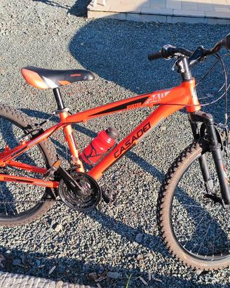 Bicicletta Casadei 24" bambino