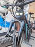 bianchi-fx-type-2024