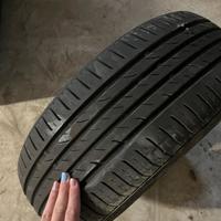 Gomme estive Ypsilon