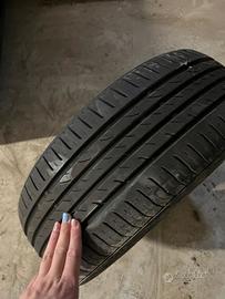 Gomme estive Ypsilon