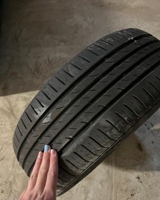 Gomme estive Ypsilon