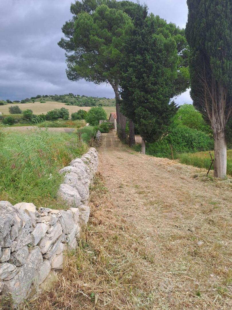 Terreno - Rosolini - Vista 2