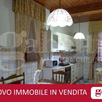 Appartamento ampia metratura con cantina