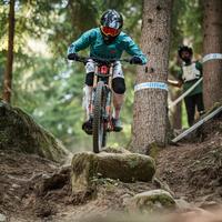 Bilocale al piano terra in Val di Sole Dimaro