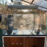 Acquario marino in vetro extrachiaro completo