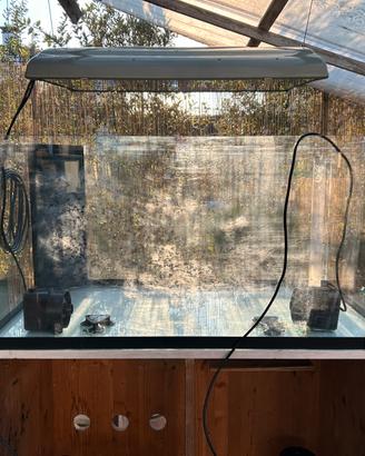 Acquario marino in vetro extrachiaro completo